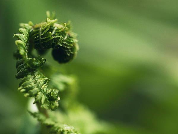 Nature Photographer Ayrshire