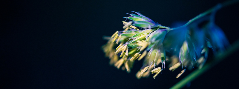 Wedding Photographer Ayrshire - Recharging in the garden
