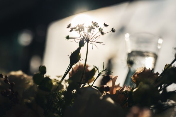 Wedding Photographer Ayrshire, Scotland