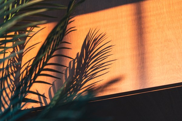 Wedding Photographer Ayrshire, Scotland