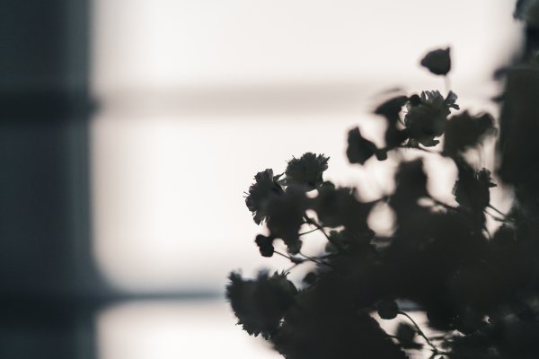 Wedding Photographer Ayrshire, Scotland