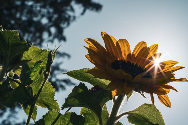 Wedding Photographer Ayrshire, Scotland