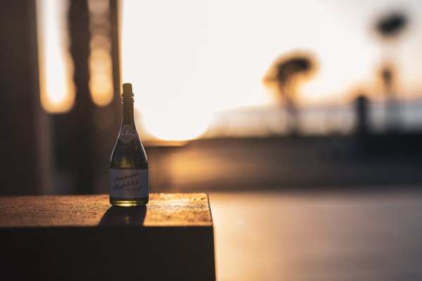 Wedding Photographer Ayrshire, Scotland