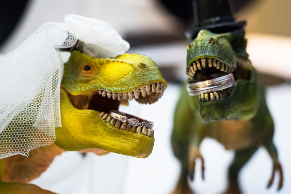 Wedding Photographer Ayrshire, Scotland